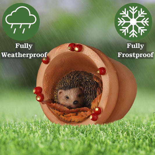 Muldale Hamish Hedgehog Garden Ornament Solar Light - RRP £19.99 - Hand Painted Light Up Plant Pot Statue - Great for Outdoor Decor - Gift Boxed Woodland Creature - 14.8cm
