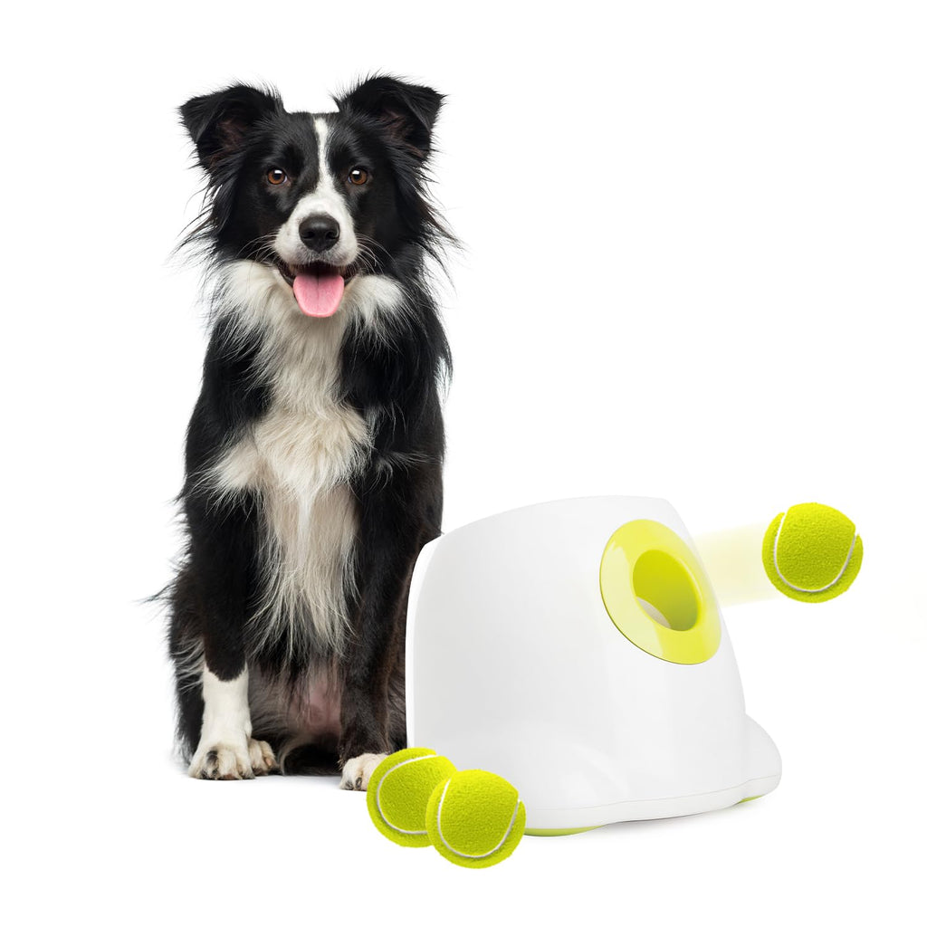 ALL FOR PAWS Automatic Dog Ball Launcher RRP - £109.99, Rechargeable Ball Launcher for Dogs,Interactive Tennis Ball Thrower Machine for Dogs, Puppy Pet Fetch Toy,3 Balls Included (MAX)
