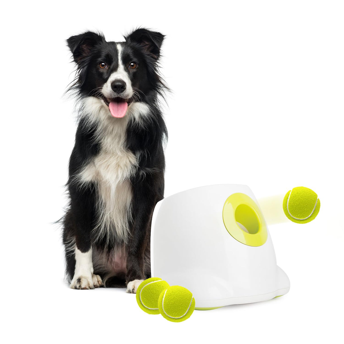 ALL FOR PAWS Automatic Dog Ball Launcher RRP - £109.99, Rechargeable Ball Launcher for Dogs,Interactive Tennis Ball Thrower Machine for Dogs, Puppy Pet Fetch Toy,3 Balls Included (MAX)