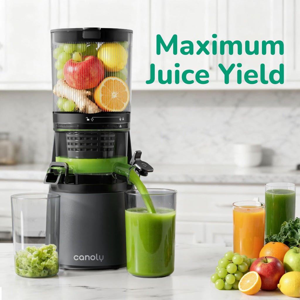 Masticating Cold Press Juicer RRP - £149.99 2.6L 150mm Feed Chute 3-in-1 Strainers Brushless Motor – Space Grey