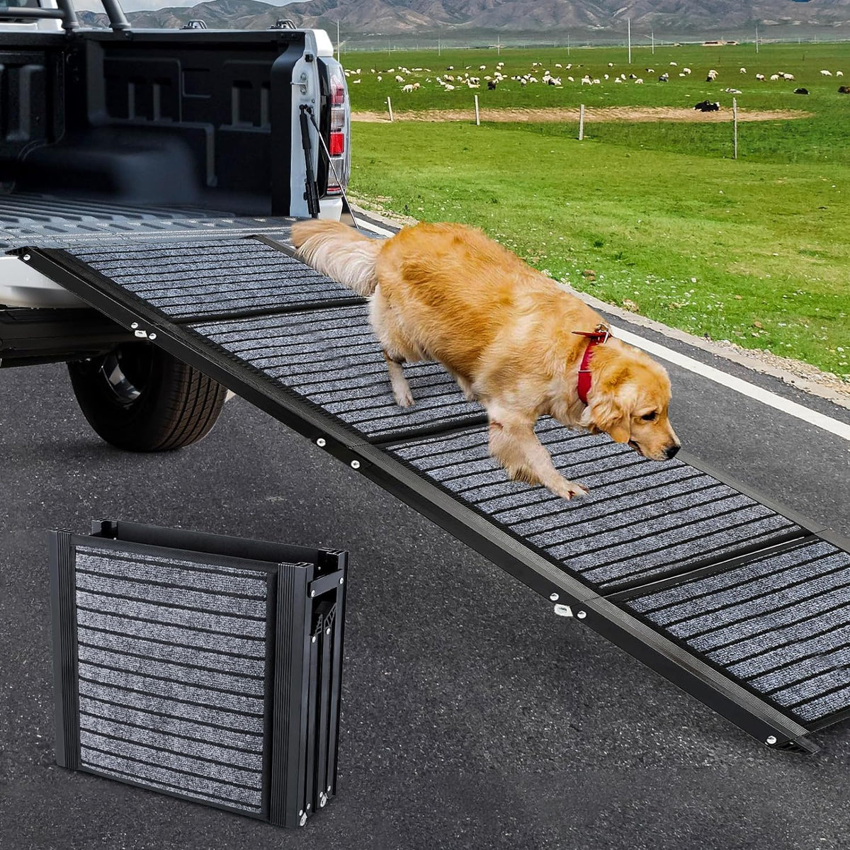 Snagle Paw Longest 180cm Dog Car Ramp RRP - £115.99,Protable Dog Ramp for Large Dogs with Anti-Slip Rug Surface,Folding Pet Ramp Stairs Up to 127KG Dog Ramps for Medium & Large Dogs Get Into a Car, SUV & Truck