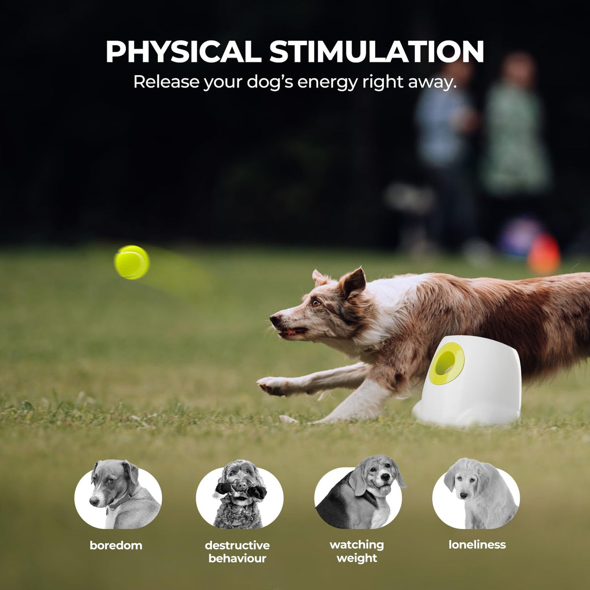 ALL FOR PAWS Automatic Dog Ball Launcher RRP - £109.99, Rechargeable Ball Launcher for Dogs,Interactive Tennis Ball Thrower Machine for Dogs, Puppy Pet Fetch Toy,3 Balls Included (MAX)