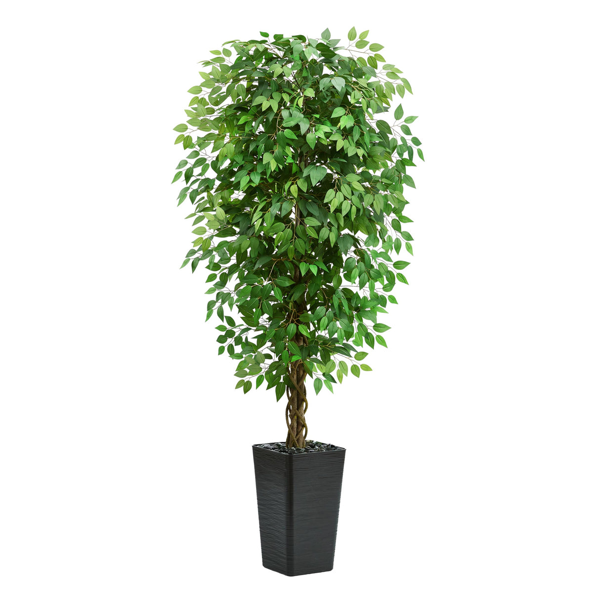 Artificial Ficus Tree 6ft Large with Tall Black Planter RRP - £109.99 – Green/Black